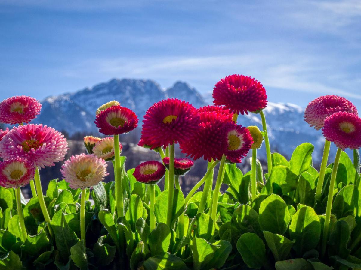 Apartamenty Maciejka Odkryj Zakopane Exteriér fotografie